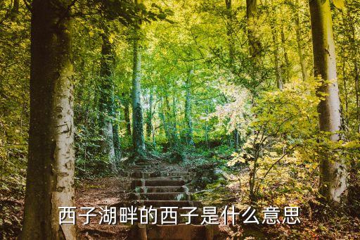 西子湖畔的西子是什么意思