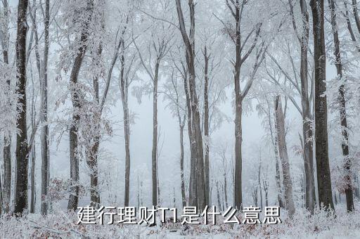 銀行t 1是什么意思，銀行轉(zhuǎn)賬T什么意思