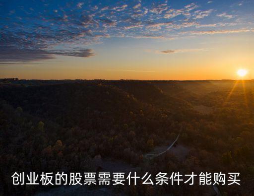 什么條件可買創(chuàng)業(yè)板，創(chuàng)業(yè)板的股票需要什么條件才能購買