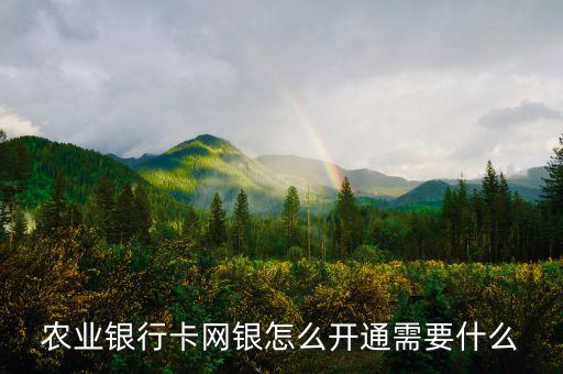 農(nóng)業(yè)銀行卡網(wǎng)銀怎么開通需要什么