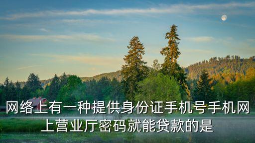 營(yíng)業(yè)廳貸款是什么貸款，哪位知道聯(lián)通營(yíng)業(yè)廳可以貸款嗎