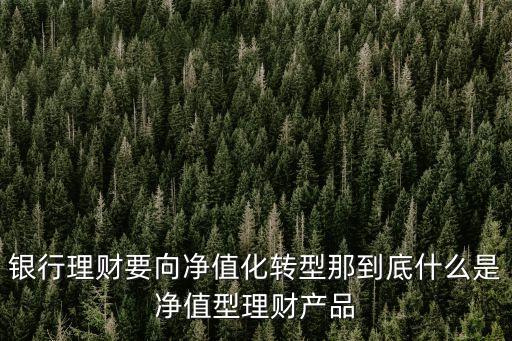 什么是凈值型理財(cái)，銀行理財(cái)要向凈值化轉(zhuǎn)型那到底什么是凈值型理財(cái)產(chǎn)品