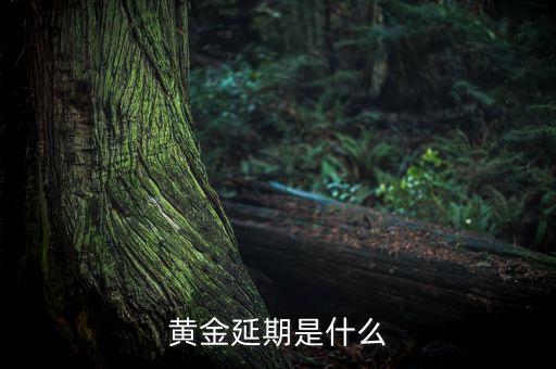做黃金為什么要延期，黃金延期是什么