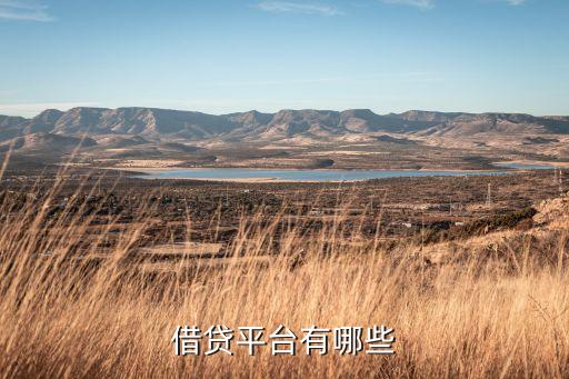 借貸平臺(tái)有哪些