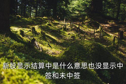 新股顯示結(jié)算中是什么意思也沒(méi)顯示中簽和未中簽