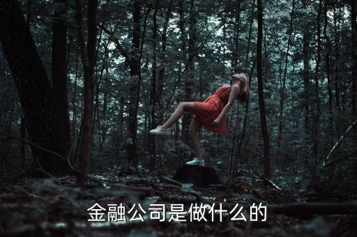 金融公司屬于什么行業(yè)，金融公司是做什么的