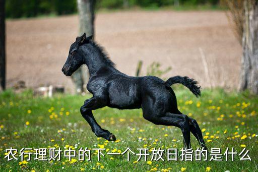 農(nóng)行理財中的下一個開放日指的是什么
