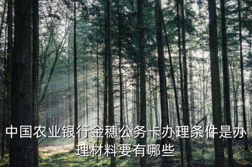 公務(wù)卡什么條件可以辦，中國(guó)農(nóng)業(yè)銀行金穗公務(wù)卡辦理?xiàng)l件是辦理材料要有哪些