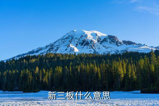 新三板什么意思