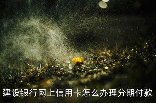 建設(shè)銀行網(wǎng)上信用卡怎么辦理分期付款