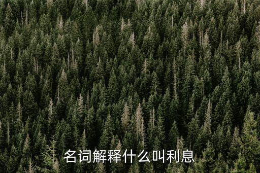 名詞解釋什么叫利息