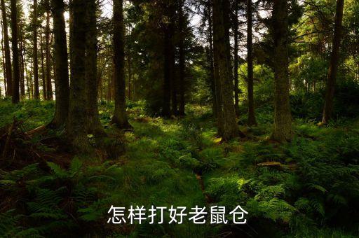 老鼠倉(cāng)是什么意思，什么叫老鼠倉(cāng)什么叫利益輸出