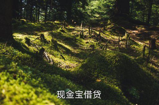 浦發(fā)銀行現(xiàn)金寶叫什么，浦發(fā)現(xiàn)金寶普通提現(xiàn)多久到