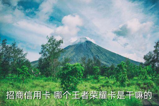 招商信用卡 哪個王者榮耀卡是干嘛的