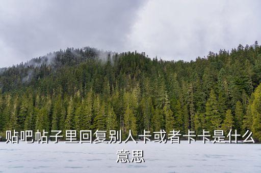 網(wǎng)絡(luò)用語卡卡什么意思，請問卡卡是什么意思呢