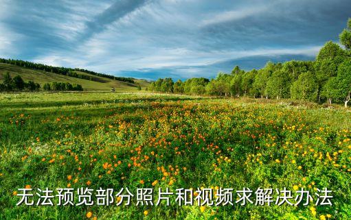 p2p為什么不能預(yù)覽，p2p按預(yù)覽怎么沒(méi)反應(yīng)
