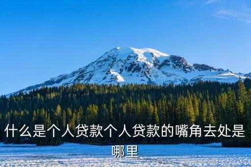 什么是個人貸款個人貸款的嘴角去處是哪里