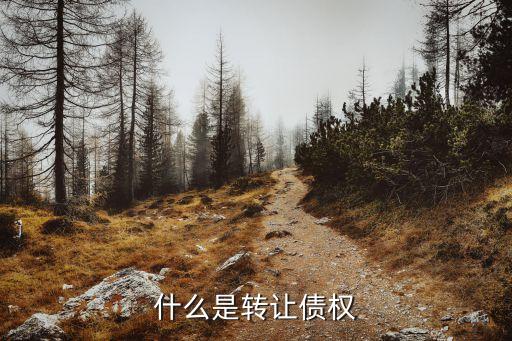 為什么要轉讓債權，什么是轉讓債權