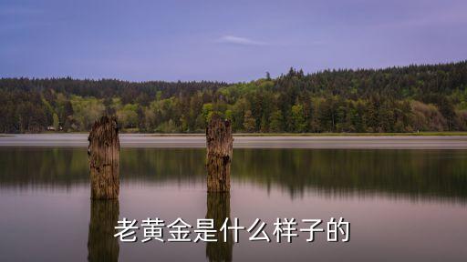 人民幣金是什么樣子的，一元紙幣有一克純黃金樣子嗎
