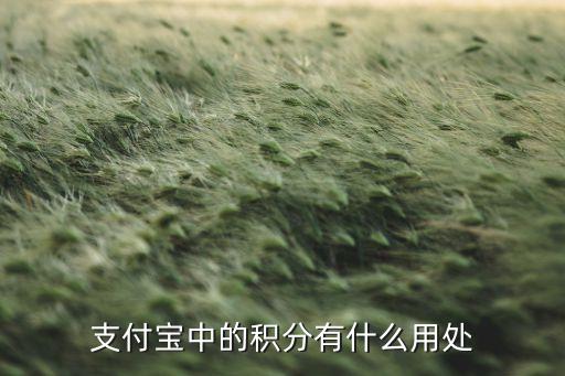 支付寶中的積分有什么用處