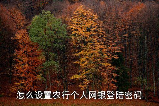 怎么設置農(nóng)行個人網(wǎng)銀登陸密碼