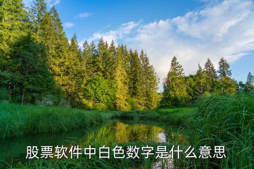 股票軟件中白色數(shù)字是什么意思