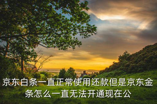 京東白條一直正常使用還款但是京東金條怎么一直無法開通現(xiàn)在公
