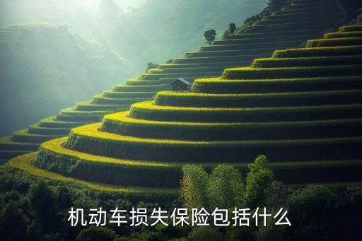 車輛損失險(xiǎn)是指什么，車輛損失險(xiǎn)包括什么