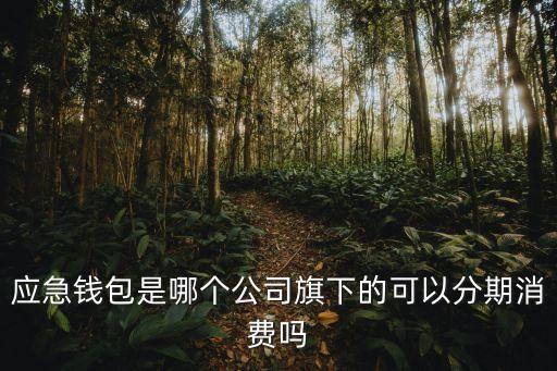 平安應(yīng)急錢包需要什么用，平安一帳通應(yīng)急錢包必須要綁定平安的銀行卡才能申請(qǐng)嗎