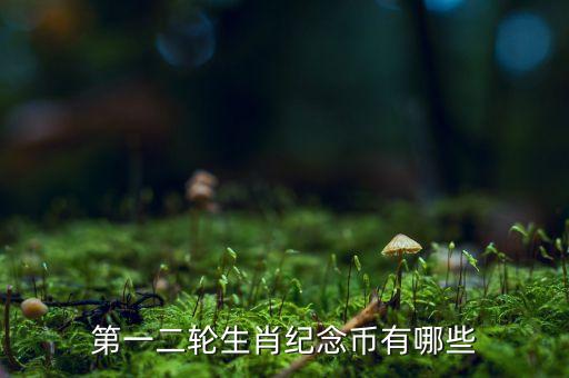 紀(jì)念幣幣有什么，中國紀(jì)念幣都有什么種類