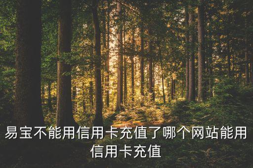 什么網(wǎng)頁可以沖信用卡，易寶不能用信用卡充值了哪個網(wǎng)站能用信用卡充值