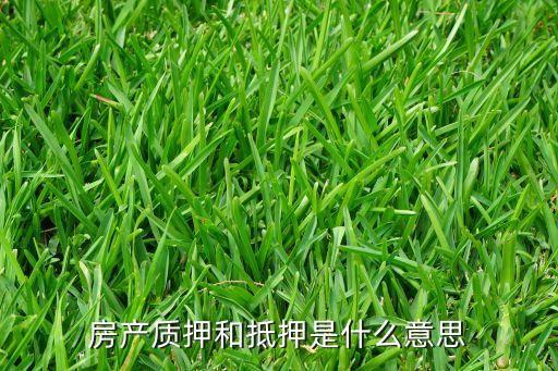 房產(chǎn)質(zhì)押和抵押是什么意思
