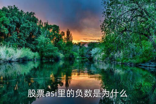 股票asi里的負數(shù)是為什么