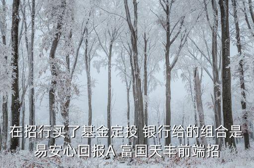 在招行買了基金定投 銀行給的組合是易安心回報(bào)A 富國(guó)天豐前端招