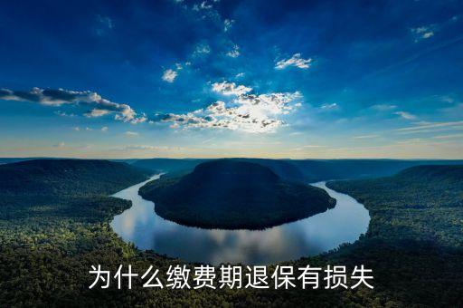 為什么繳費期退保有損失