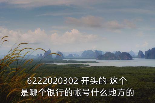 6222020302 開頭的 這個(gè)是哪個(gè)銀行的帳號(hào)什么地方的