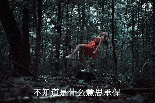 不知道是什么意思承保