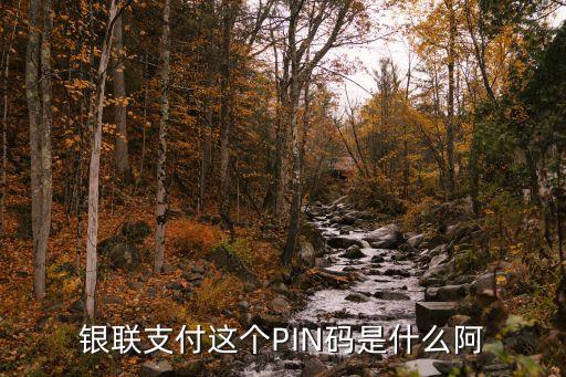 銀聯(lián)支付這個(gè)PIN碼是什么阿