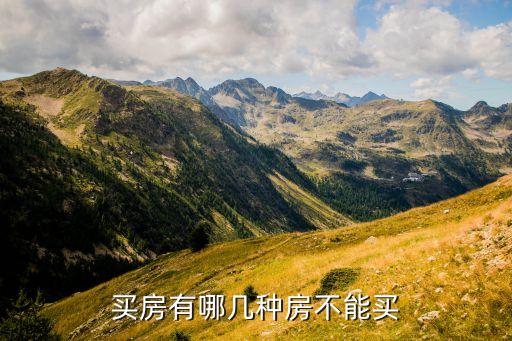 什么房子不能買，哪些房子千萬(wàn)不能買