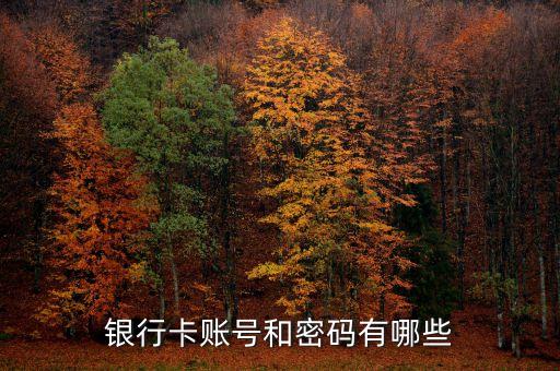 銀行卡賬號和密碼有哪些