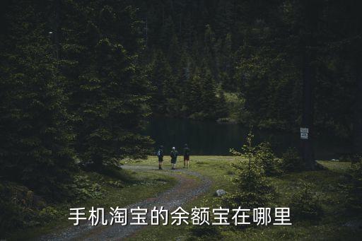 手機淘寶怎么看余額寶，淘寶上怎么看支付寶余額