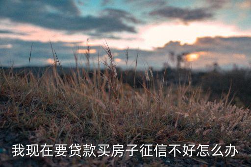 我現(xiàn)在要貸款買(mǎi)房子征信不好怎么辦