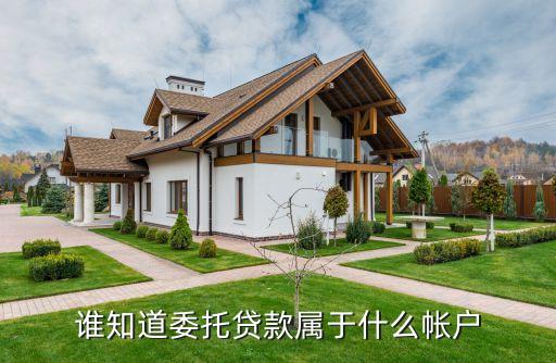 誰(shuí)知道委托貸款屬于什么帳戶(hù)