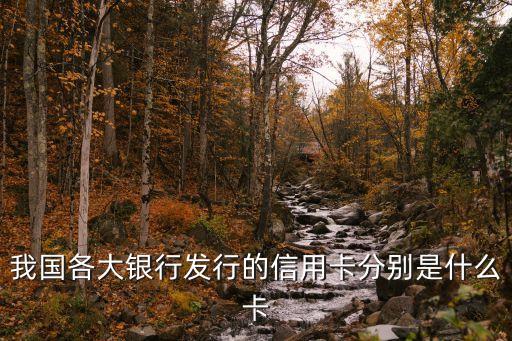 我國各大銀行發(fā)行的信用卡分別是什么卡