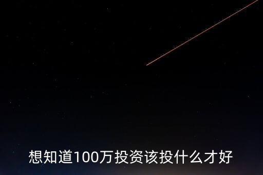 想知道100萬投資該投什么才好
