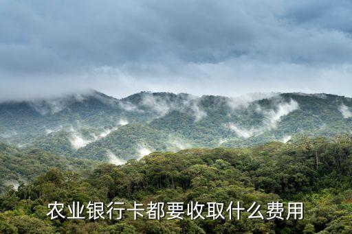 農(nóng)業(yè)銀行卡都要收取什么費(fèi)用