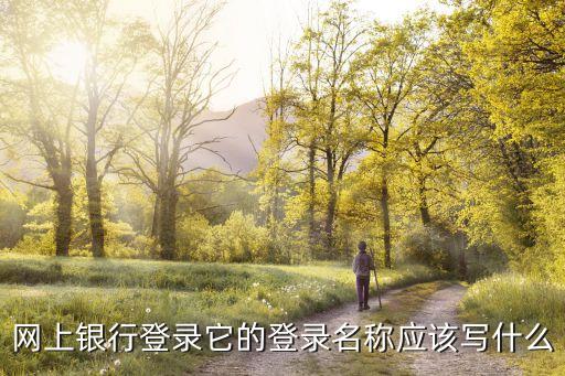 網(wǎng)銀用戶名設(shè)什么好，網(wǎng)銀名字有什么