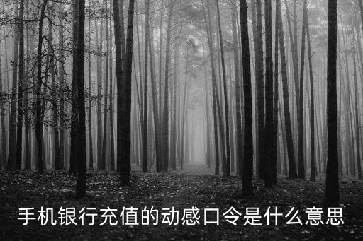 什么是銀行短信口令，手機(jī)銀行修改信息時(shí)要的動(dòng)態(tài)口令指的是什么