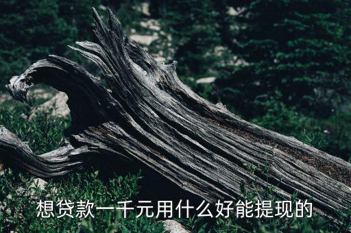 想貸款一千元用什么好能提現(xiàn)的