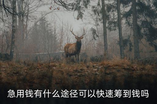 急用錢有什么途徑可以快速籌到錢嗎